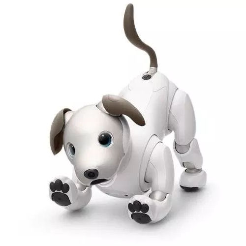 Sony Aibo robotdogSony Aibo robotdog.jpg